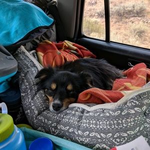 Meet your Posher, Gi